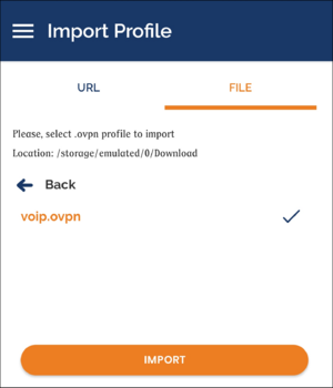 OpenVPN Connect Import.png