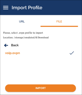 OpenVPN Connect Import.png